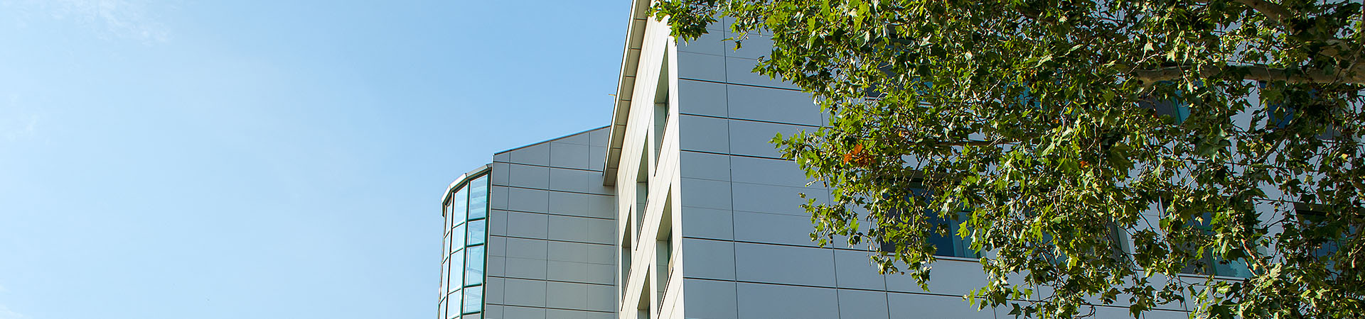 公司门口（2 内页